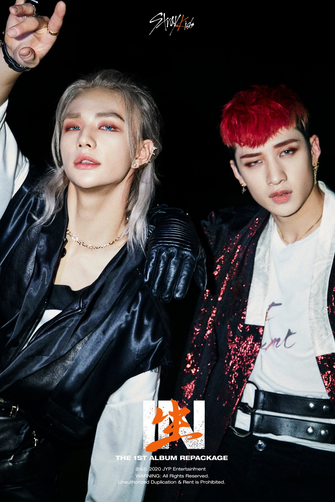 Manga and Anime Maniac: Stray Kids - IN生(IN LIFE)