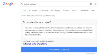 Google I'm Feeling Curious