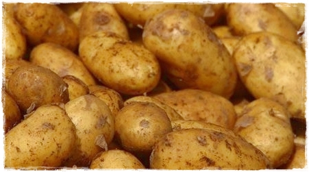 new potatoes