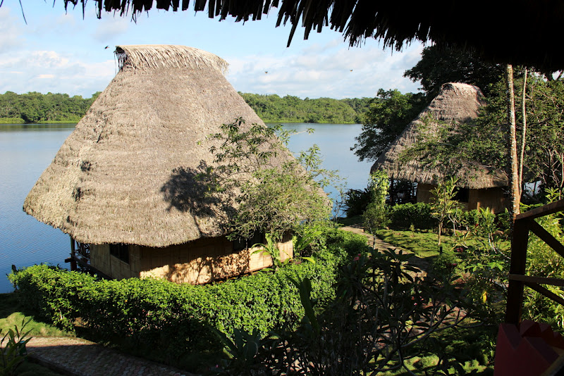 South of the Equator The Ecuadorian Amazon Rainforest