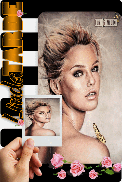 NOVO85%2B%2528MB%2529maryluz.gif