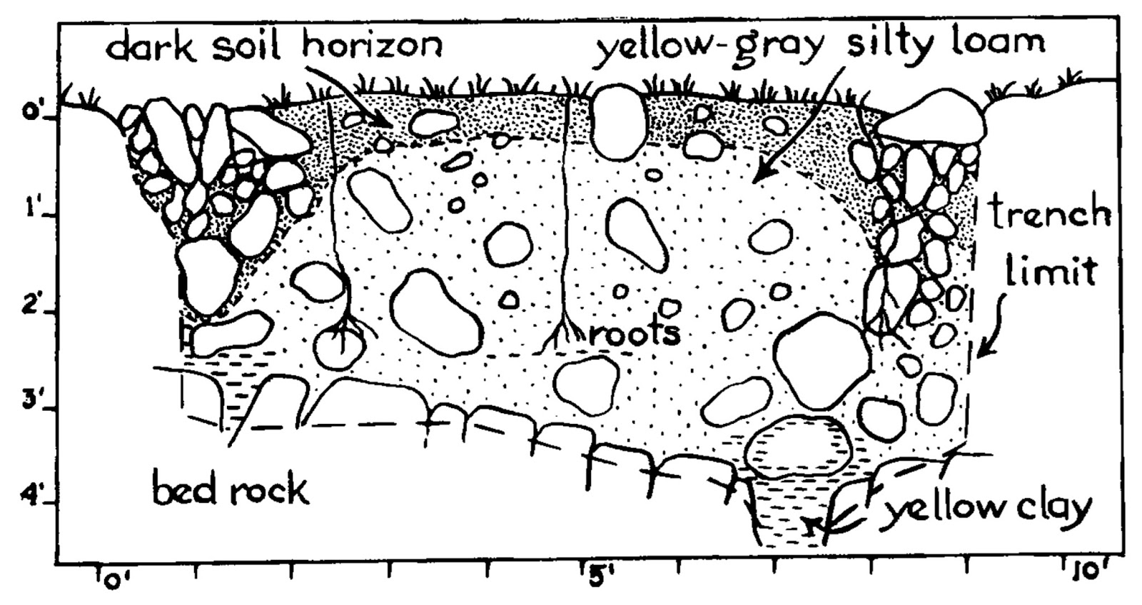 In the Company of Plants and Rocks More Storytelling Rocks