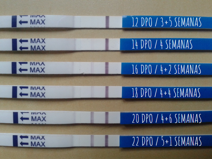 Embarazo Salió Tengo Dias De Retraso Y Test Negativo Tengo Retraso