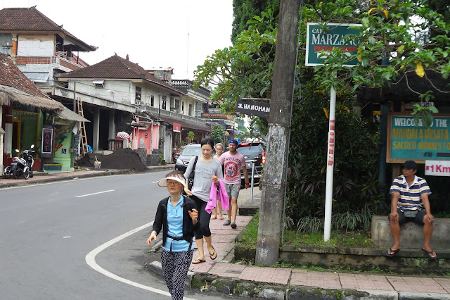 Wander the Streets of Ubud