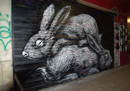 GRAFITY ART: Rabbit Graffiti Art Wallpaper