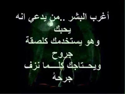 shof_74d2770421db913