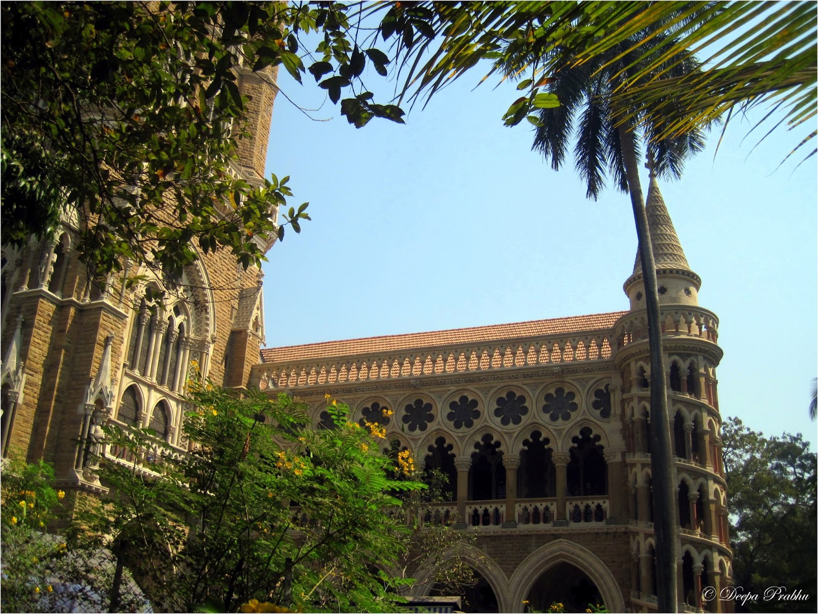 University of Mumbai - Random Photography
