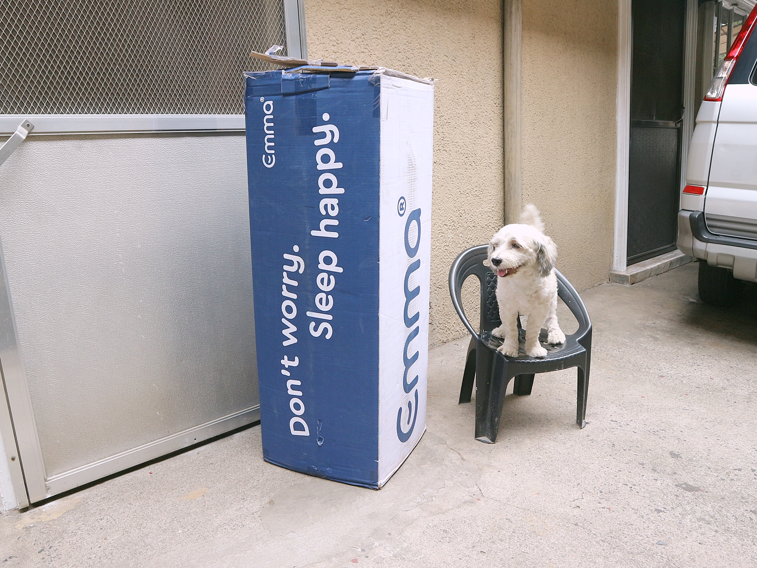 Emma Mattress Philippines A Review diane wants to write