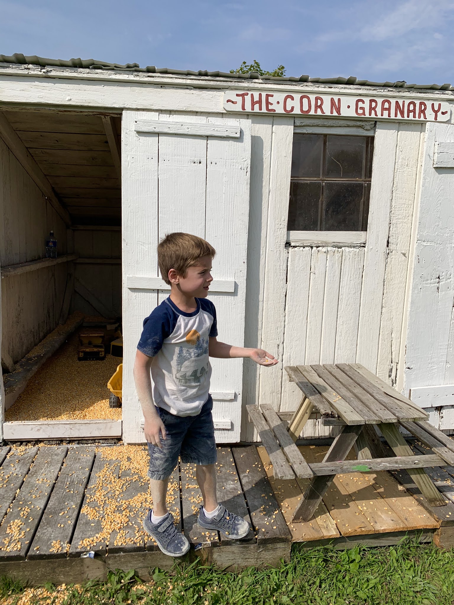 Mitchellville Pumpkinville