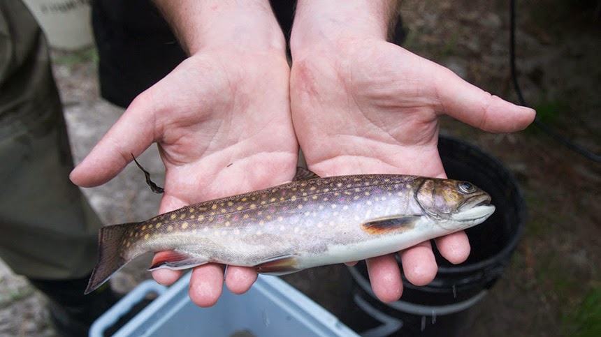 Outdoor Scene Sunday at 9 am on wnri.com, Smokin' 99.9 fm, Alexa, Tune in radio, 1380 am, 95.fm Outdoor Scene Sunday at 9 am on wnri.com, Smokin' 99.9 fm, Alexa, Tune in radio, 1380 am, 95.fm