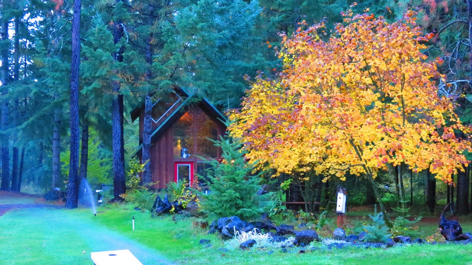 Where In The World Is Lj 2019