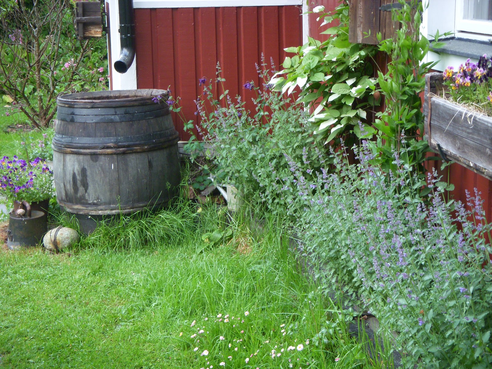Helena´s Hem & Trädgård: Runt hörnet...