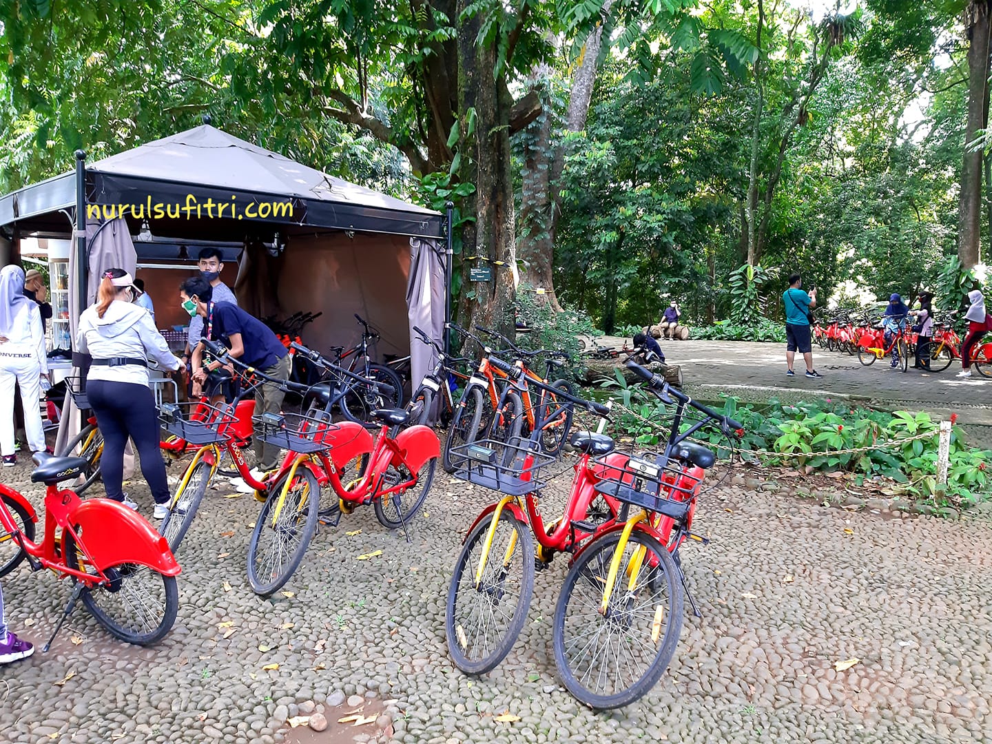 Sewa Sepeda Kebun Raya Bogor