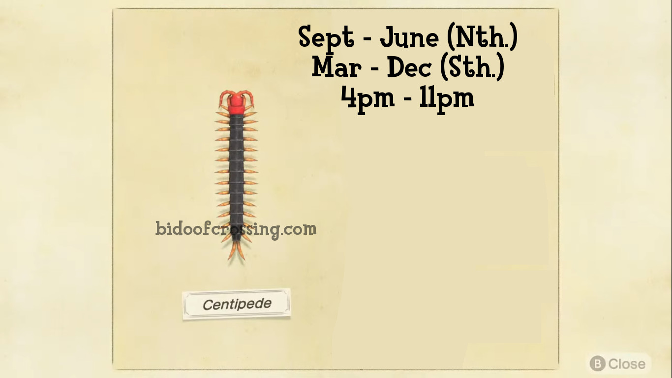 Location Under Rocks