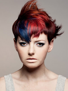 Elegant Punk Hairstyles Color, Punk Hairstyles Color, Color Hairstyles Color, Punk Hairstyles