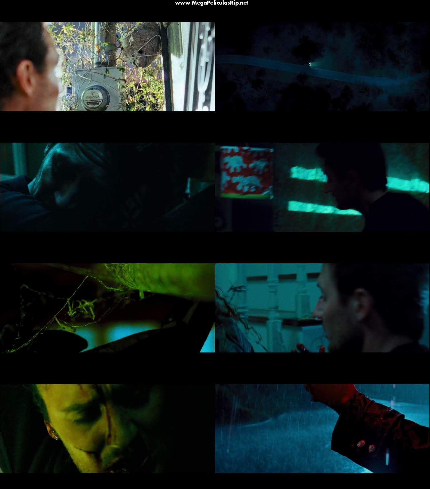 The Collector 1080p Latino