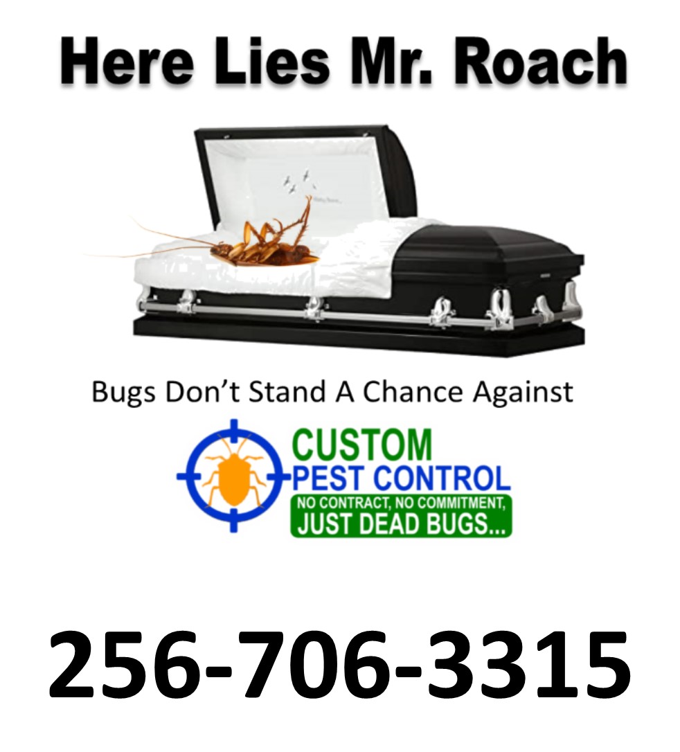 How to Kill Roaches For Good! (Pest Control Near Me)