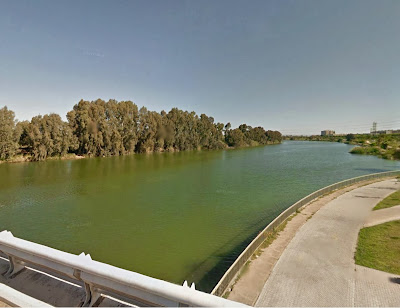 Desde el puente del Alamillo