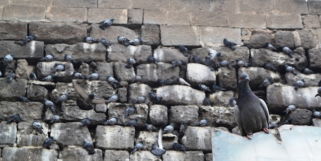 Iran Gunlukleri Bolum 1 Qom Kashan Hhuseyinpehlivan