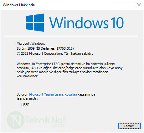 Windows 10 LTSC Türkçe iSO indir