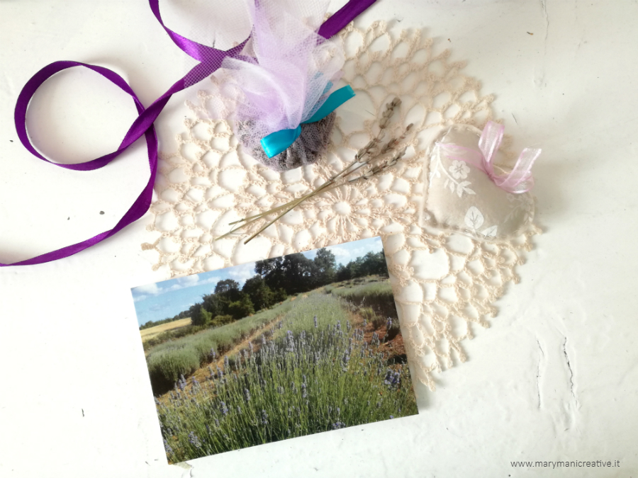 podereargo-lavanda-coltivazioni-profumi podereargo-lavanda-coltivazioni-profumi