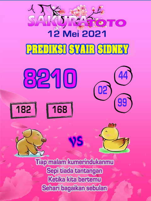 PREDIKSI SYDNEY COJEEL