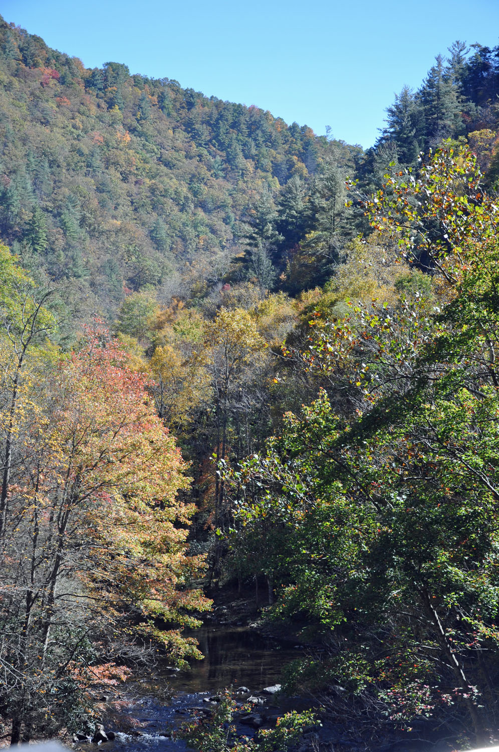 Looking for the Confederate War The Crab Orchard (Tennessee) and the