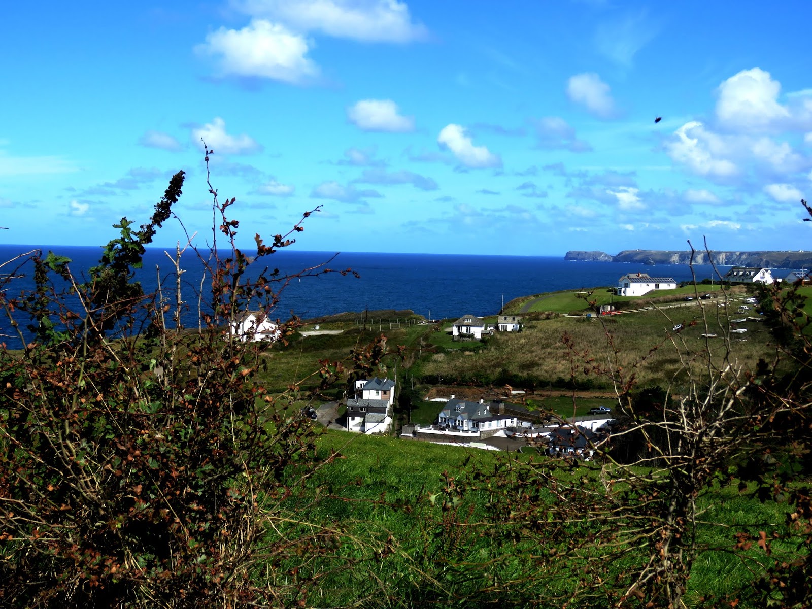 doc martin site