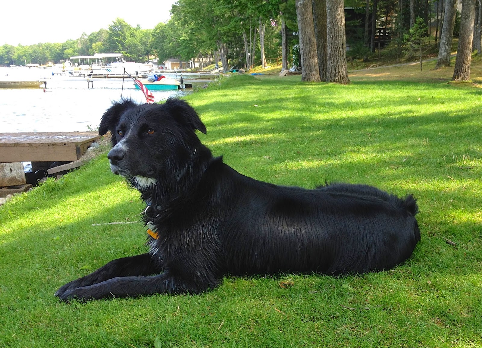 The Simple Life: Morning Glory