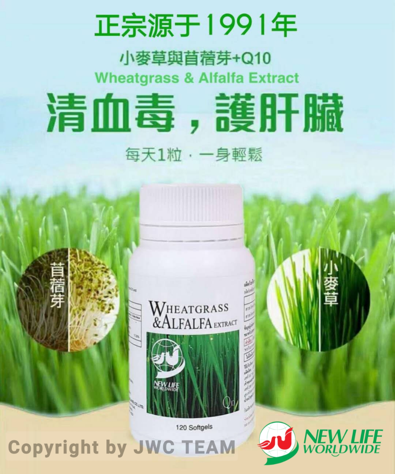 Honey Wheatgrass Juice 蜂蜜小麥草汁 270毫升 – Farm66