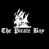 The Pirate Bay switched to .GL ccTLD