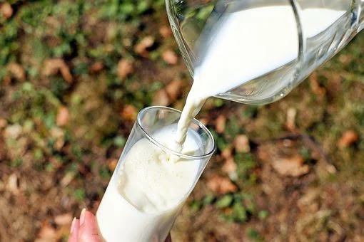 Manfaat minum susu secara rutin setiap hari untuk kesehatan tubuh