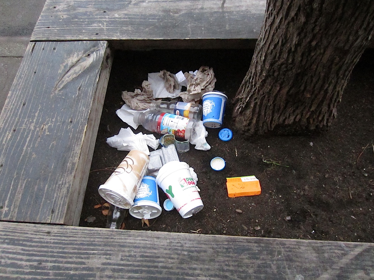 Leaving Trash Near Trees