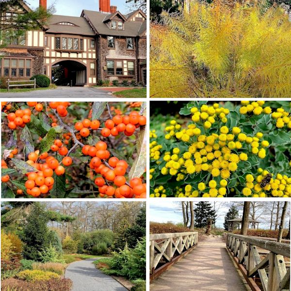 A GUIDE TO NORTHEASTERN GARDENING Bayard Cutting Arboretum New York