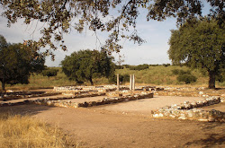 Villa romana de Los Términos, en Monroy