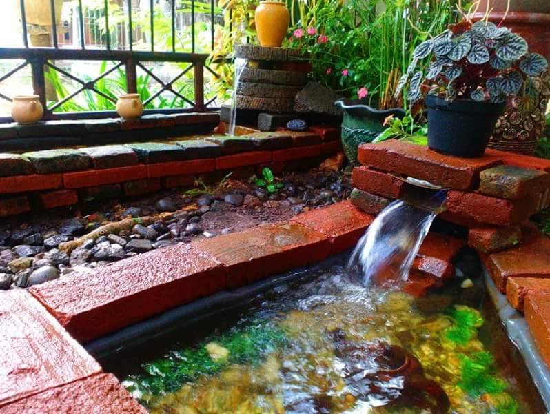 Inspirasi Kolam dan Taman Rumah Minimalis