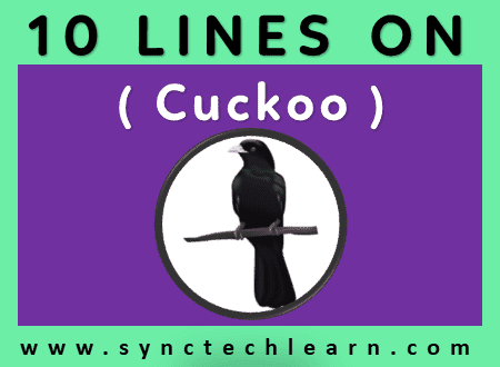 10 lines on cuckoo in english
