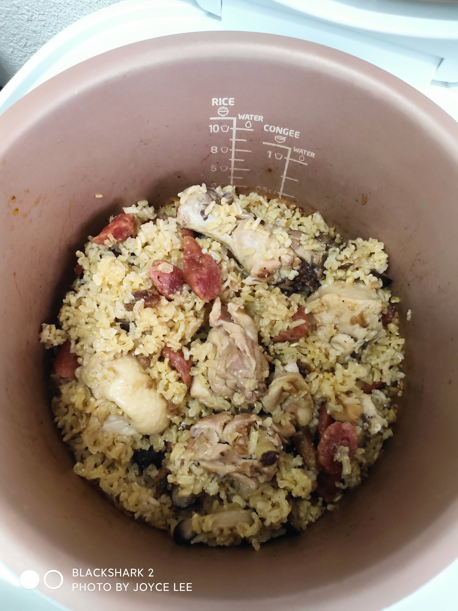 Household Favorite Rice Cooker "Claypot" Chicken Rice Joy 'N' Escapade