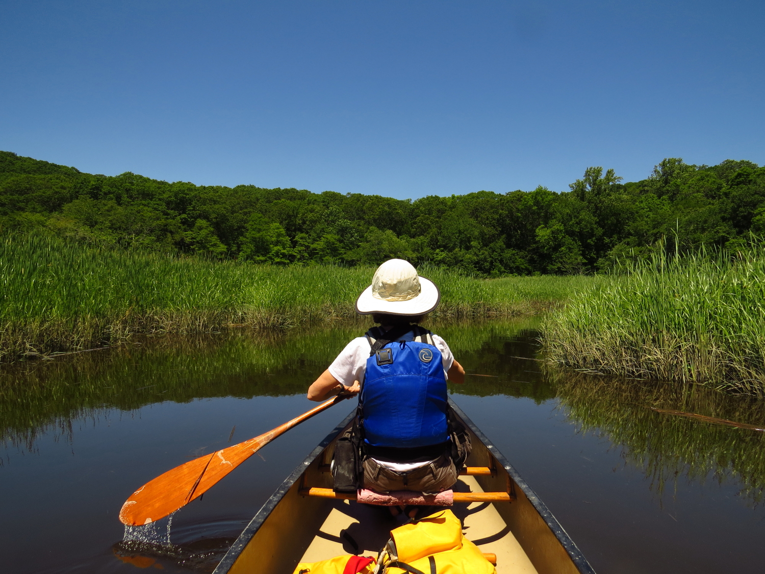 The View From the Canoe