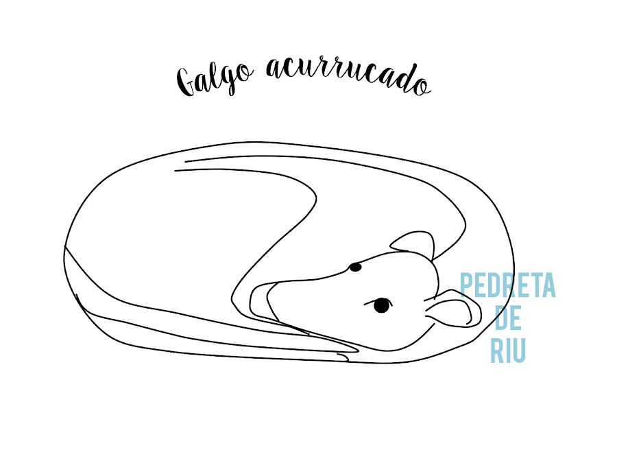 COMO PINTAR PIEDRAS CON GALGO PASO A PASO