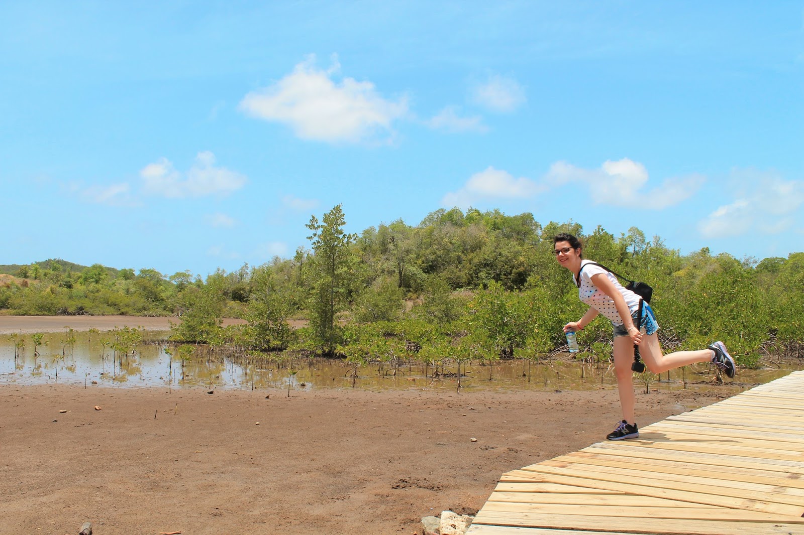 martinique île presqu'île caravelle chateau dubuc soleil vacances 972 mangrove randonnée