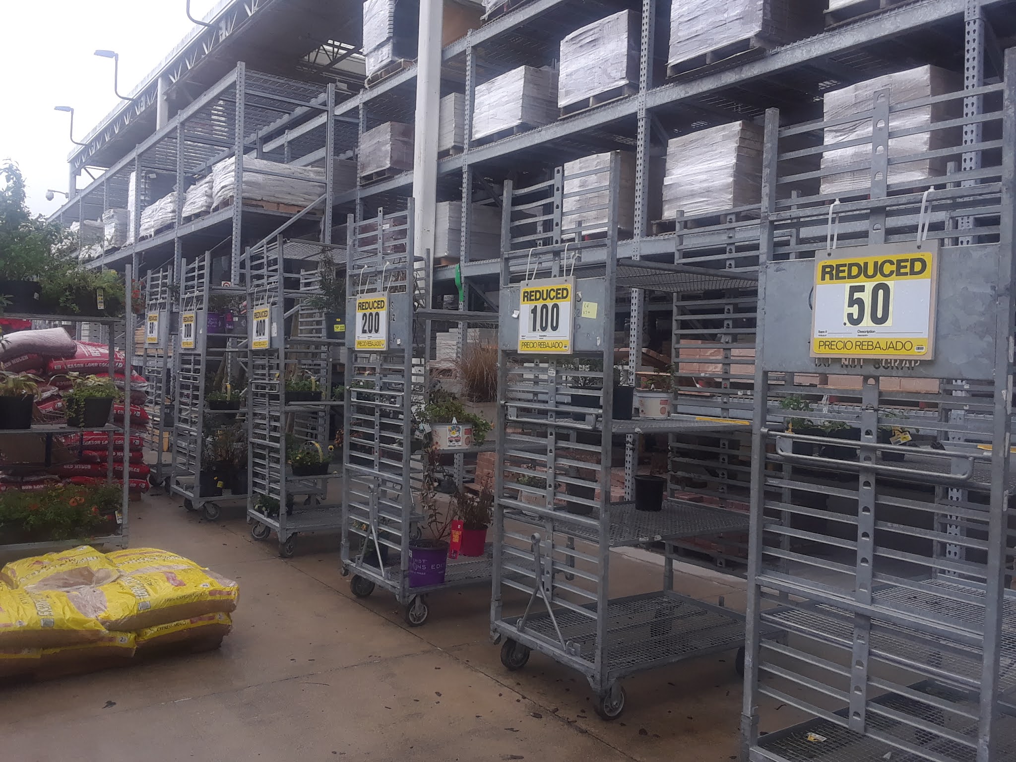 Lowe's Plant Clearance 0.50 & Up Lavender 2 & More Deals