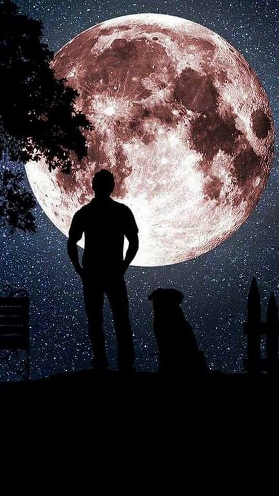 download iphone 11 Pro Max wallpaper 4k