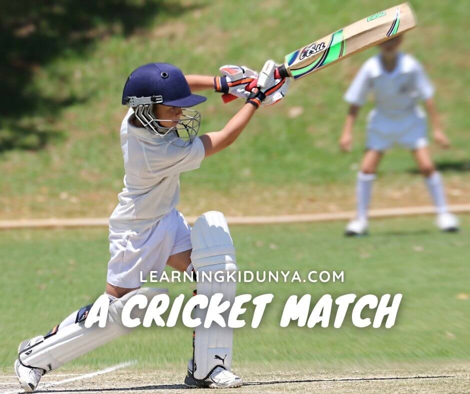 A Cricket Match | A cricket match essay 100 words | A cricket match