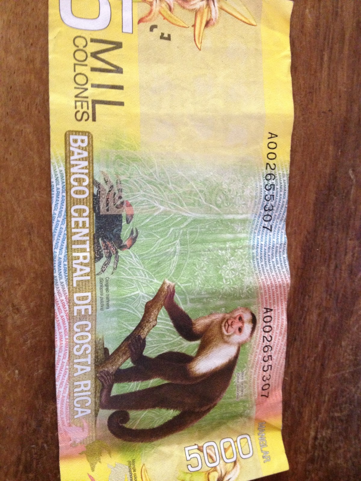 costa-rica-2013-money-money-money-money