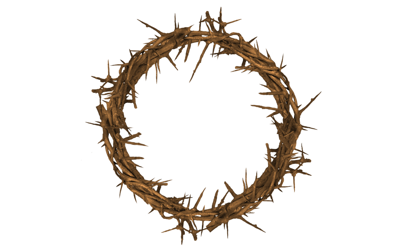 Islamic Dream Meanings and Interpretations I saw Crown of thorn in my