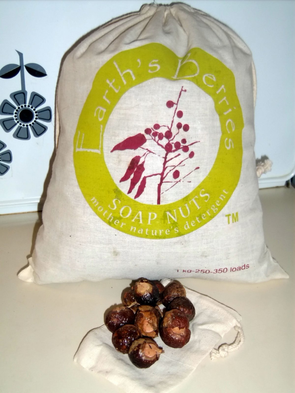 FRECKLED BEAUTIES Earth's Berries Soap Nuts Review!