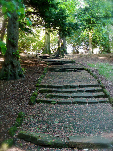 Photography of Scottish park and old pathways and trails through ancient trees 