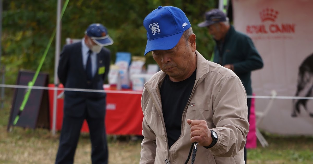 Importing Dogs to Japan