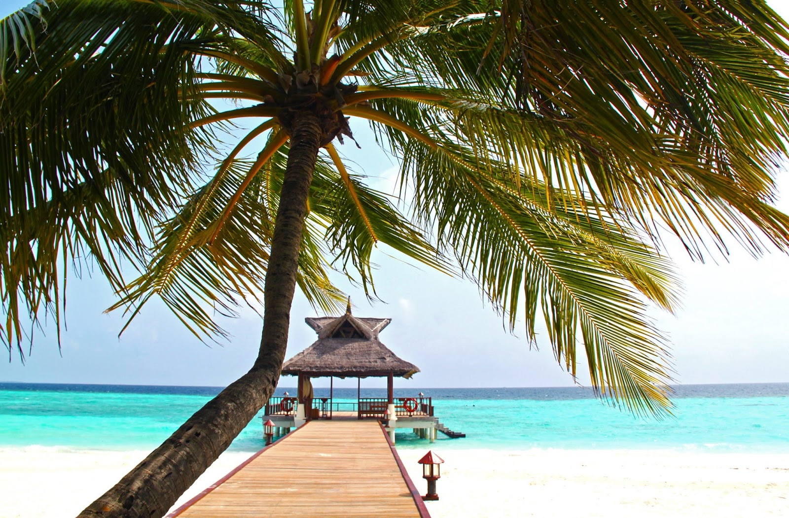 Obvious, you exotic sex vacation was Inquiry answer exotic sex vacation that interfere